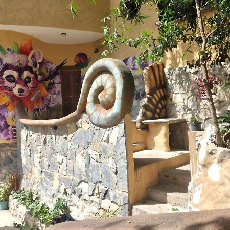 Casa Musgo Hotel Xilitla Kültér fotó