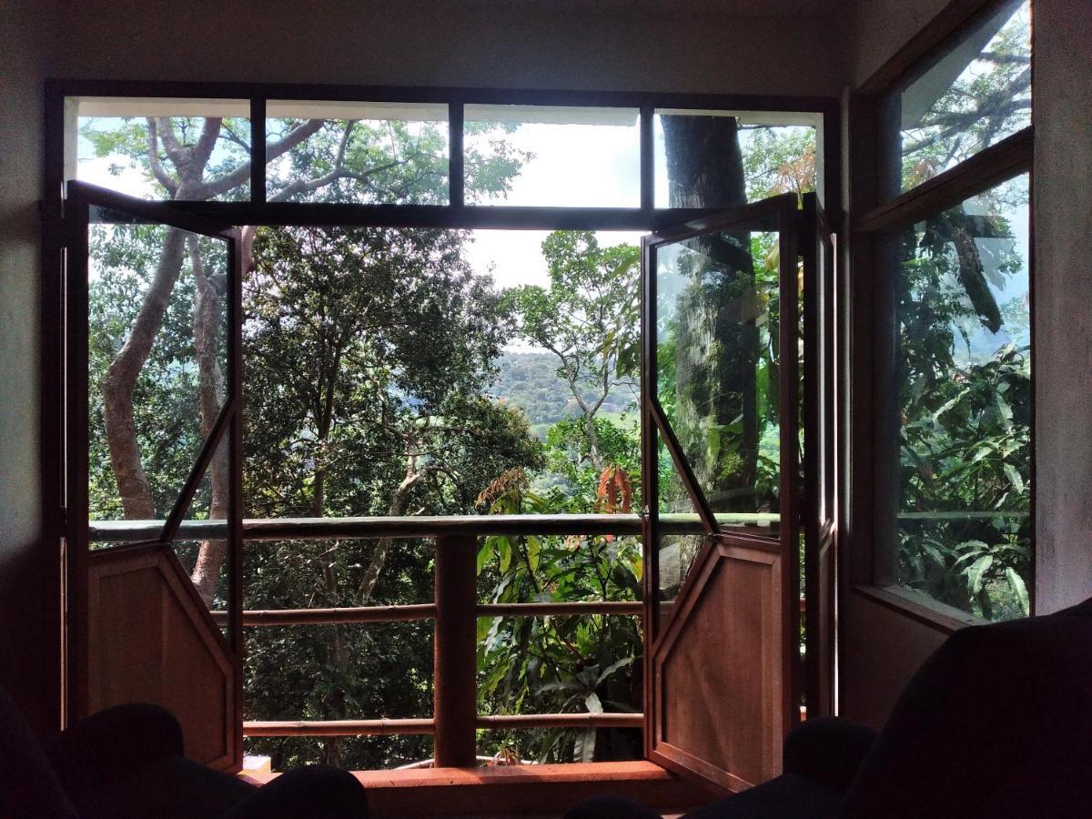 Casa Musgo Hotel Xilitla Kültér fotó